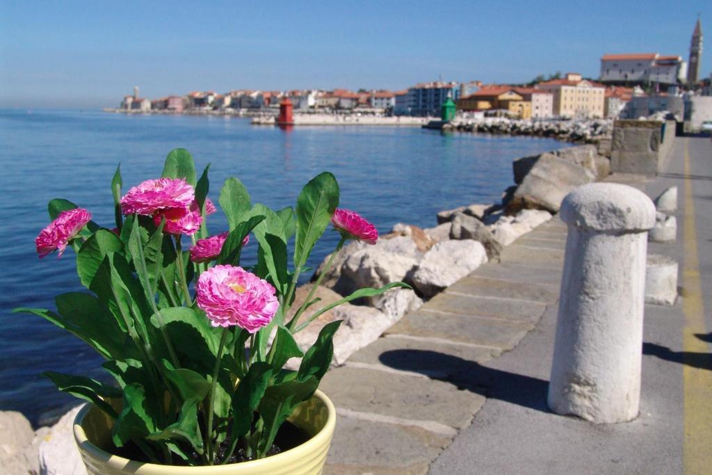 Apartments Piran Exterior photo